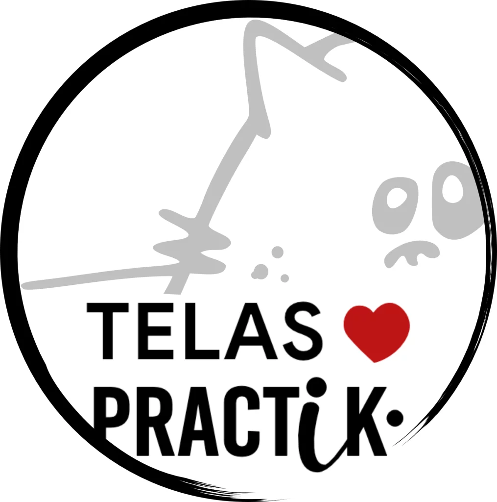 logo Telas ❤ PRACTiK